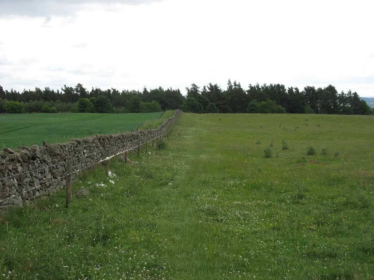 St Cuthbert's Way: Stages, Distance and Walking Plan