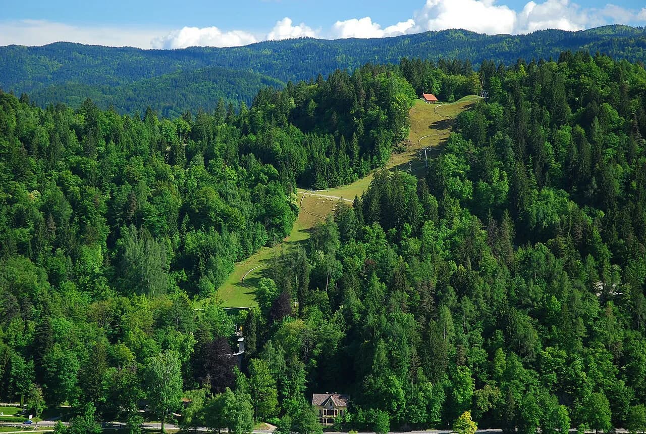 Straža Hill, Bled: Walking Up, the Toboggan and the Views