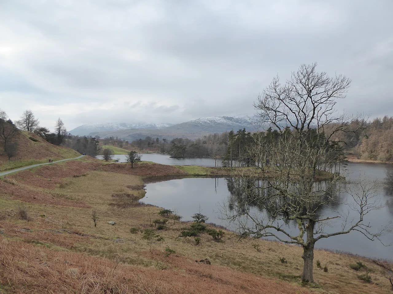 Tarn Hows Walk: The Lake District's Easy Circular Trail