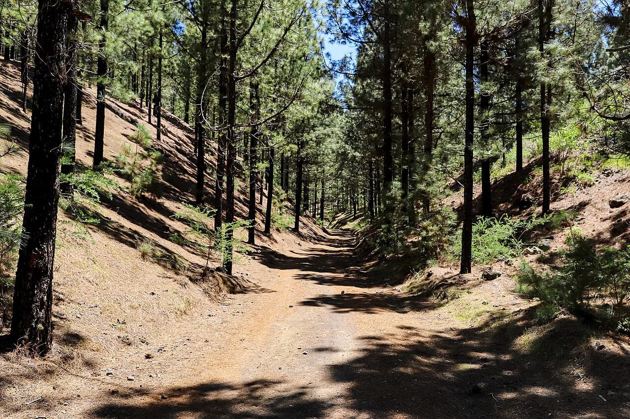 Hiking in Tenerife: Best Trails by Region and Difficulty