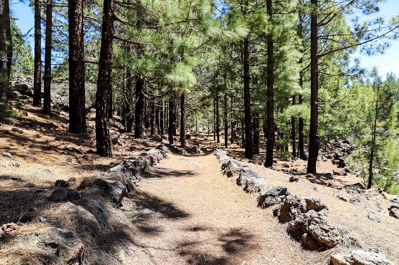 Tenerife Walking Holidays: Guided vs Self-Guided Trips