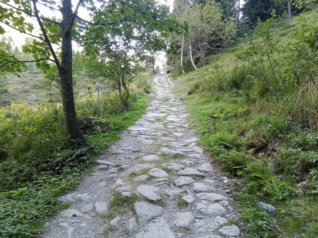 Tour du Mont Blanc Huts: Refuges, Stages and How to Book
