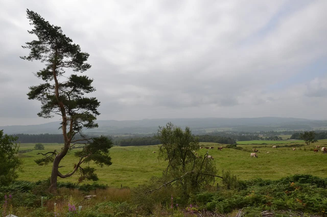 West Highland Way: Route, Distance and Stage Planning
