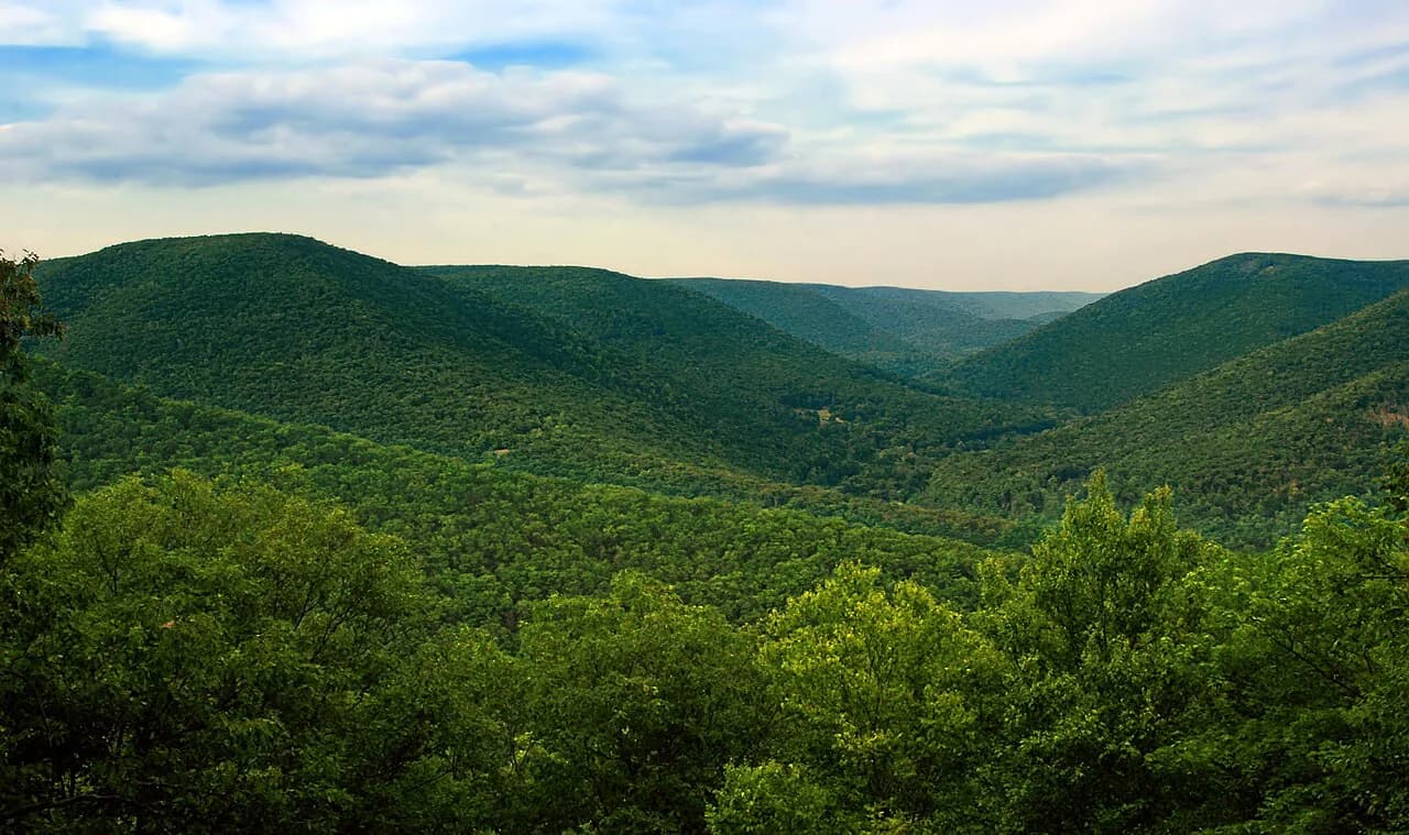 Westweg Guide: Hiking the Black Forest North to South
