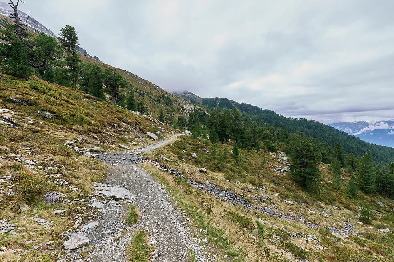Zirbenweg Innsbruck: Choose Your Stone Pine Trail Route