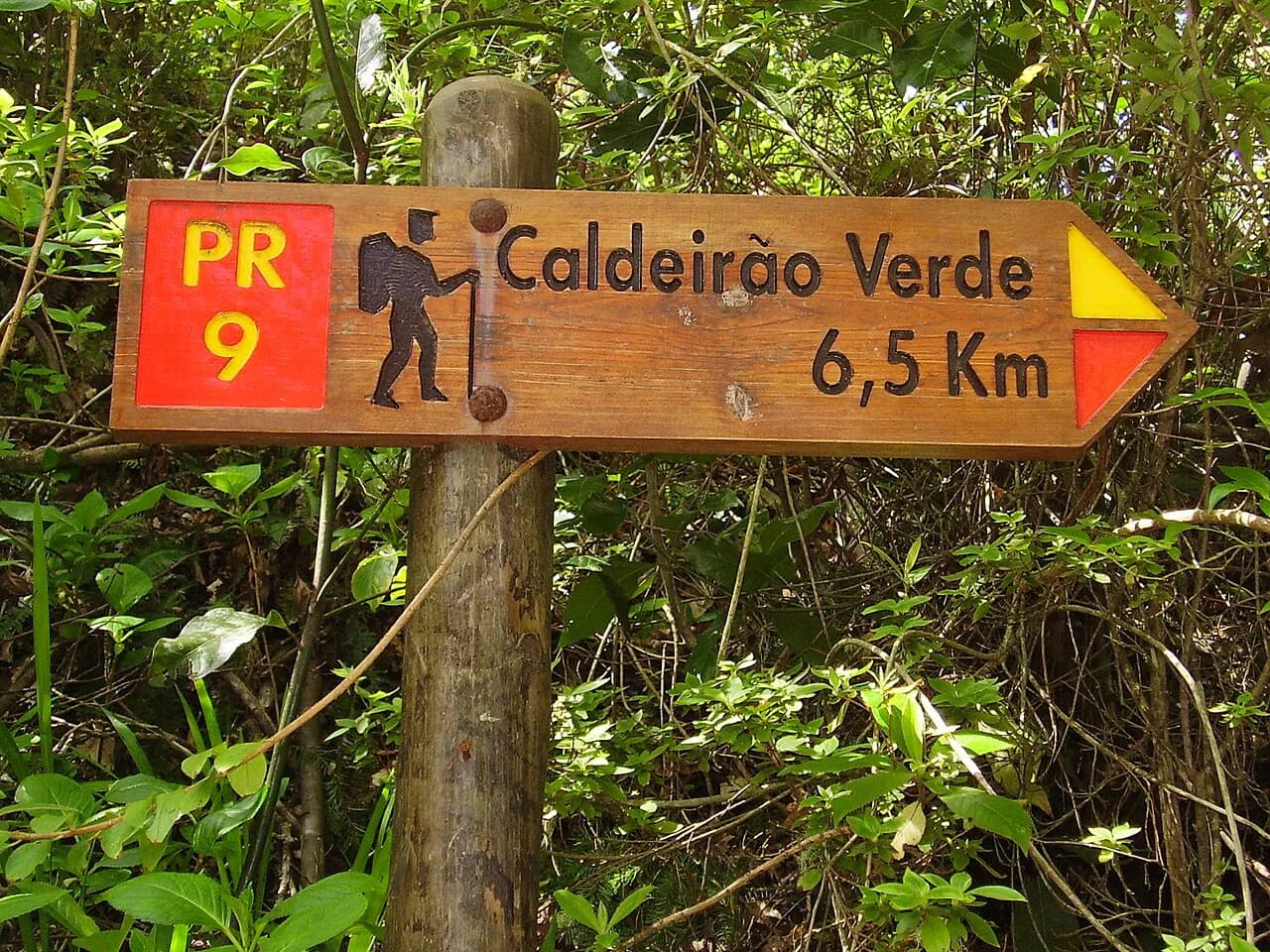 Levada do Caldeirão Verde (PR9) Madeira: Trail Guide