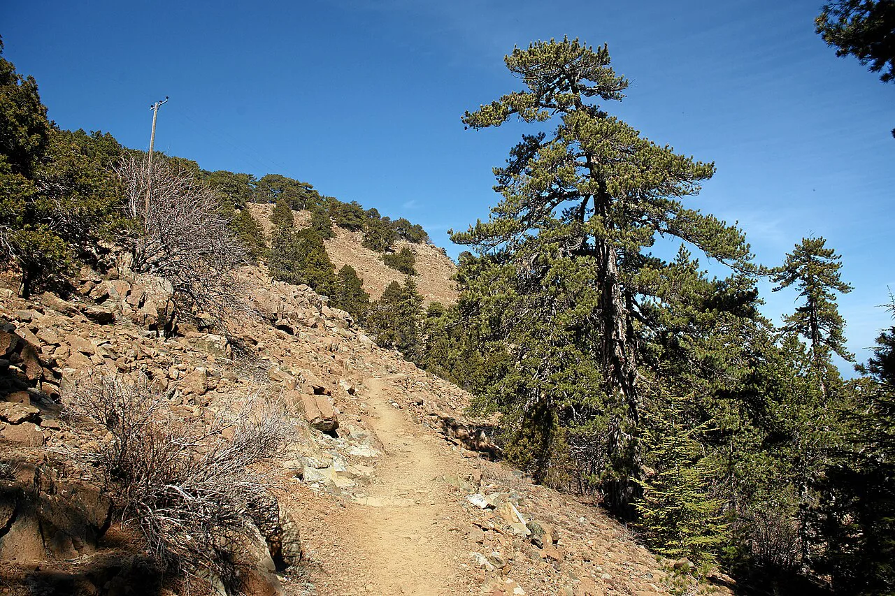 Troodos-artemis-nature-trail-a, Cyprus