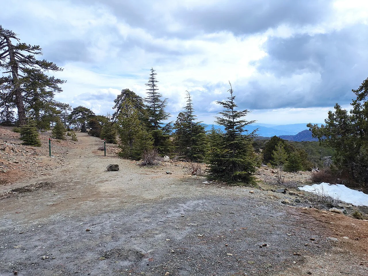 Artemis trail, Troodos, Cyprus