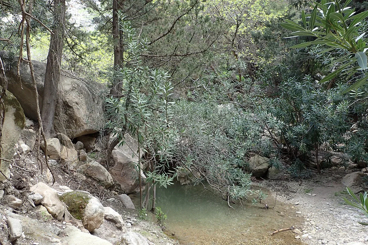 Avakas Gorge kz, Cyprus