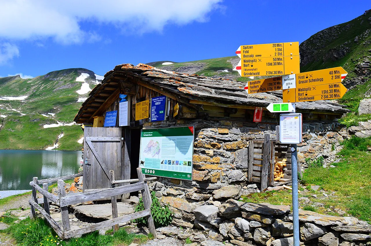 Beim Bachalpsee in Grindelwald im Berner Oberland