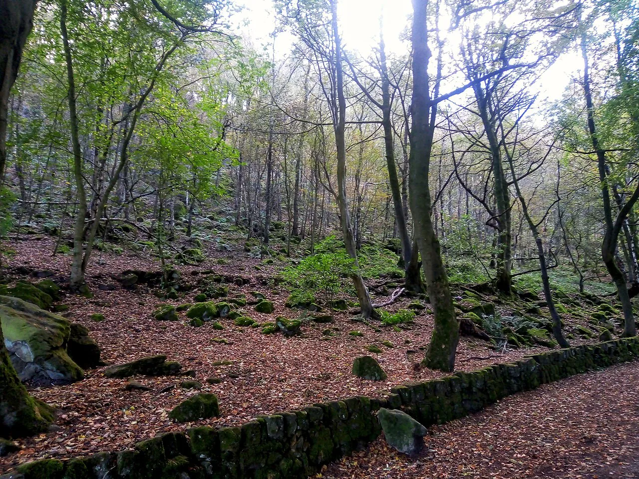High Peak Trail near Black Rocks, Derbyshire, Peak District