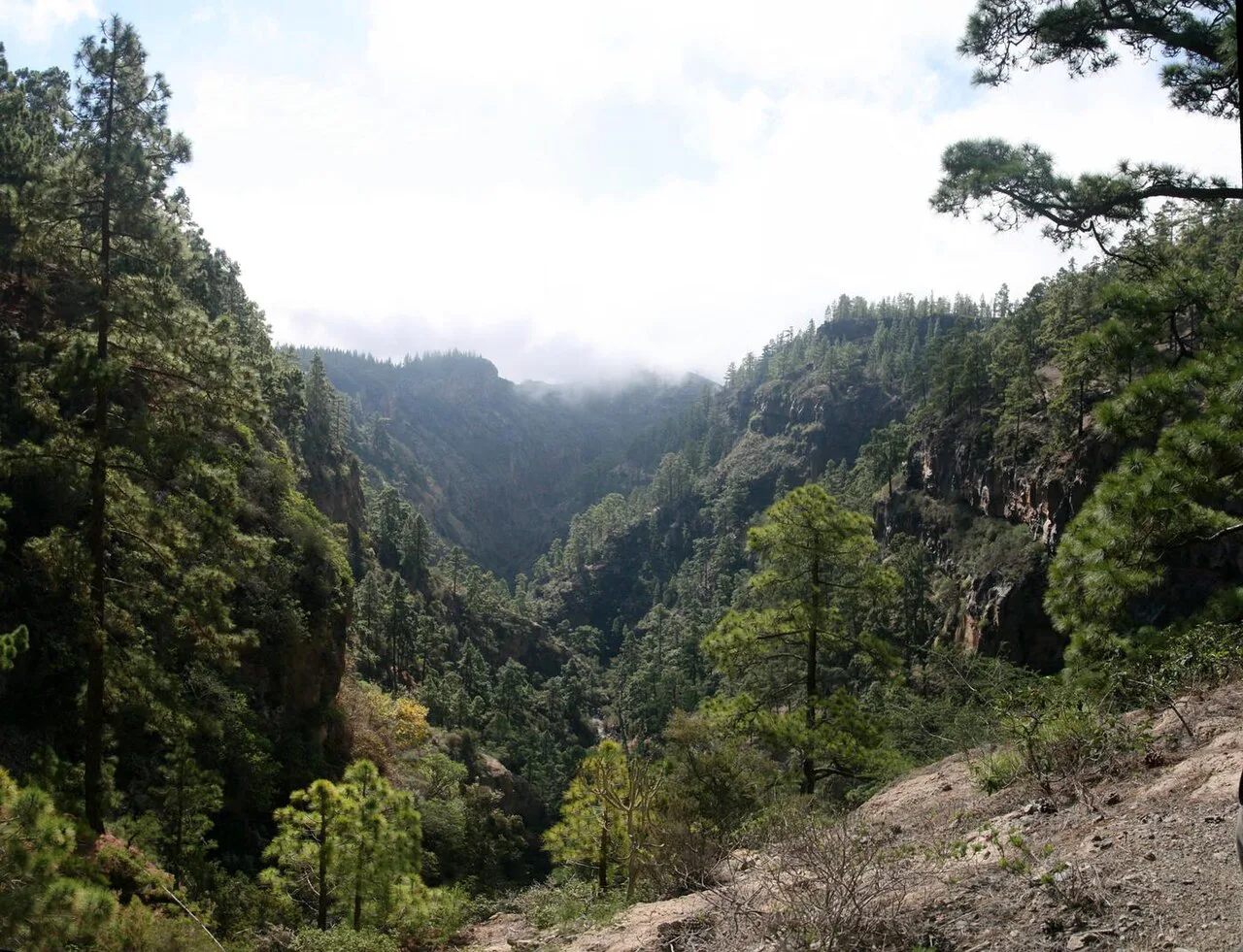 Barranco del Infierno, Tenerife