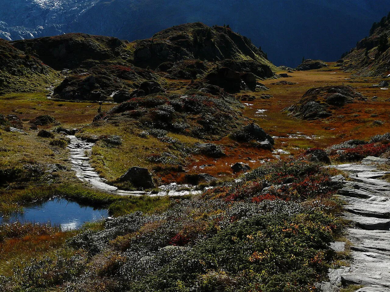 Berliner Höhenweg oberhalb Berliner Hütte, Austria