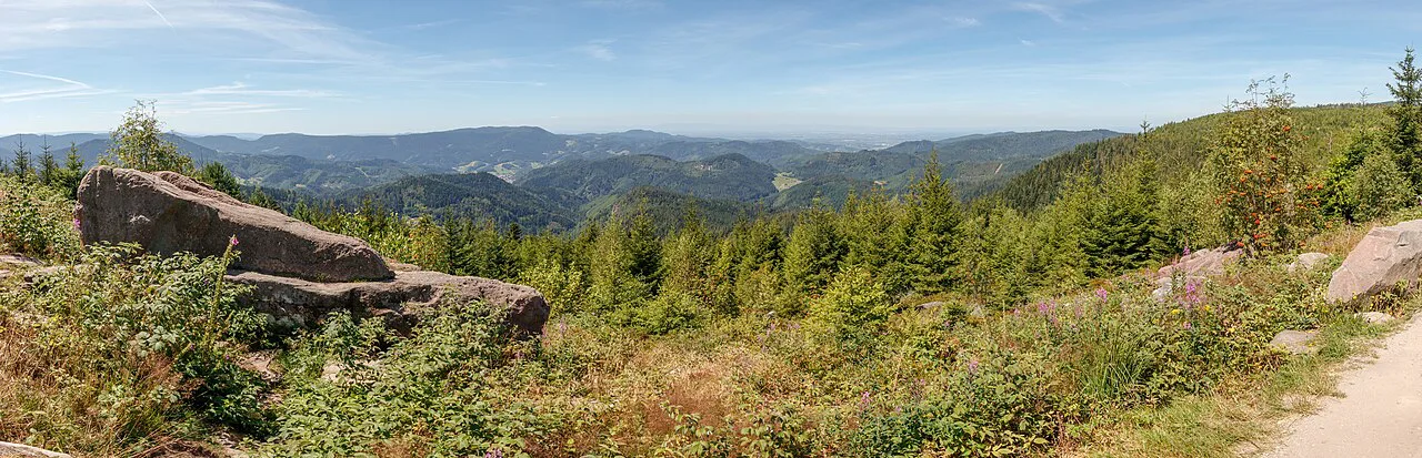 Panoramic trail at the Lothar Path - Northern Black Forest