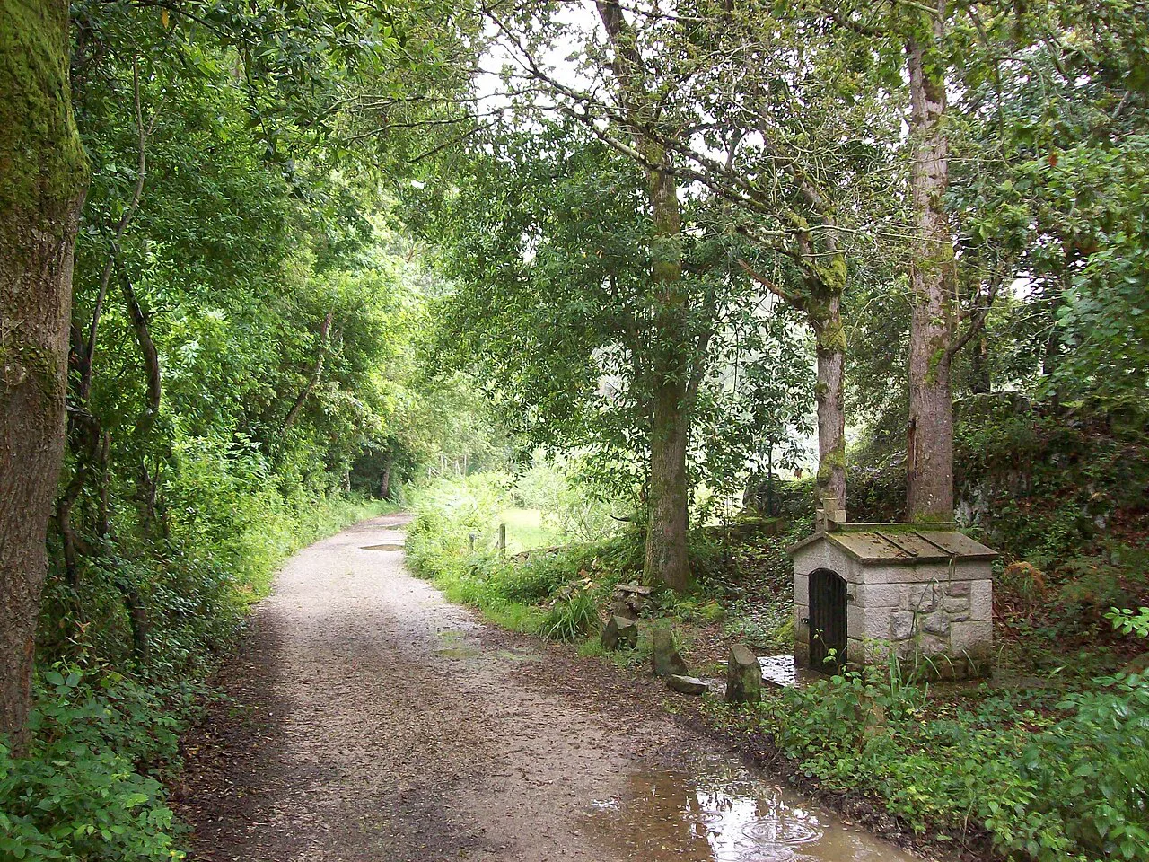 Camino de Santiago near Villahormes - Asturias - Spain - panoramio, Europe