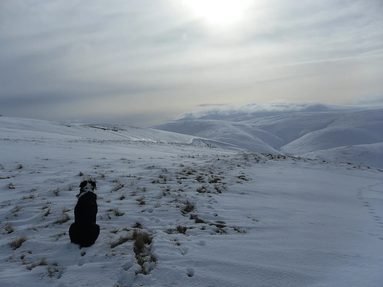 On the Pennine Way, White Law - geograph.org.uk, Northumberland