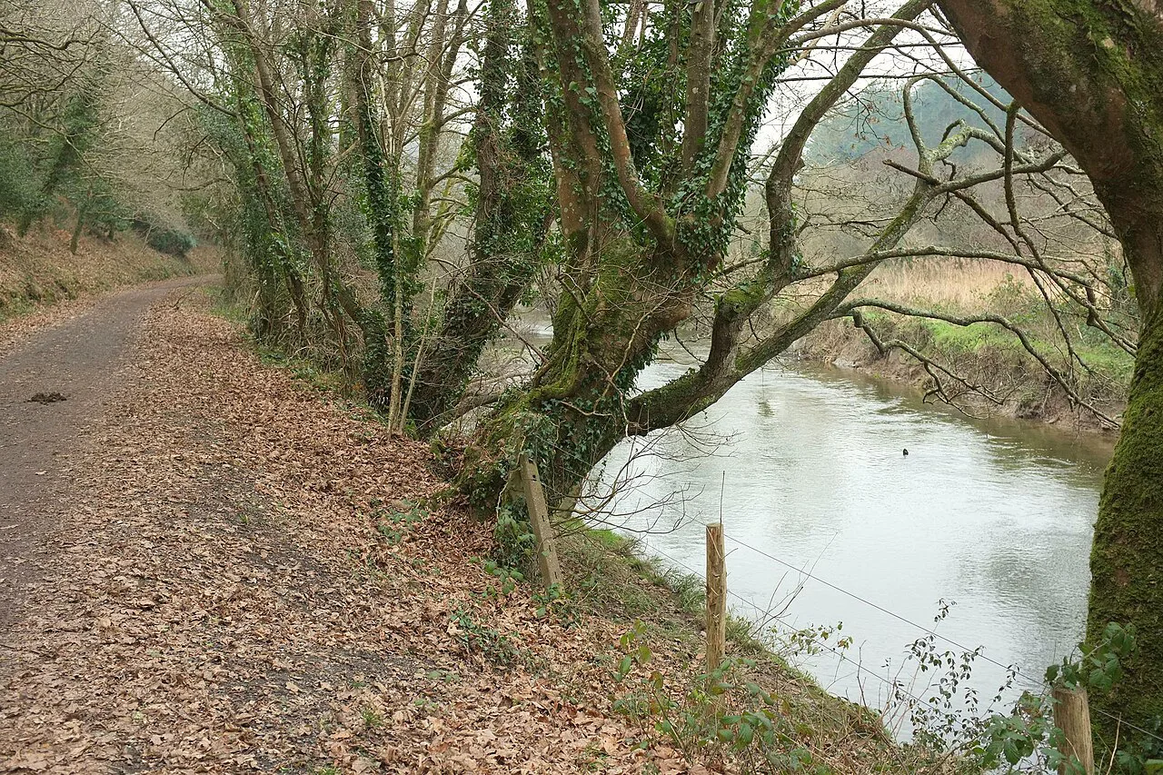 Camel and Camel Trail - geograph.org.uk, Cornwall
