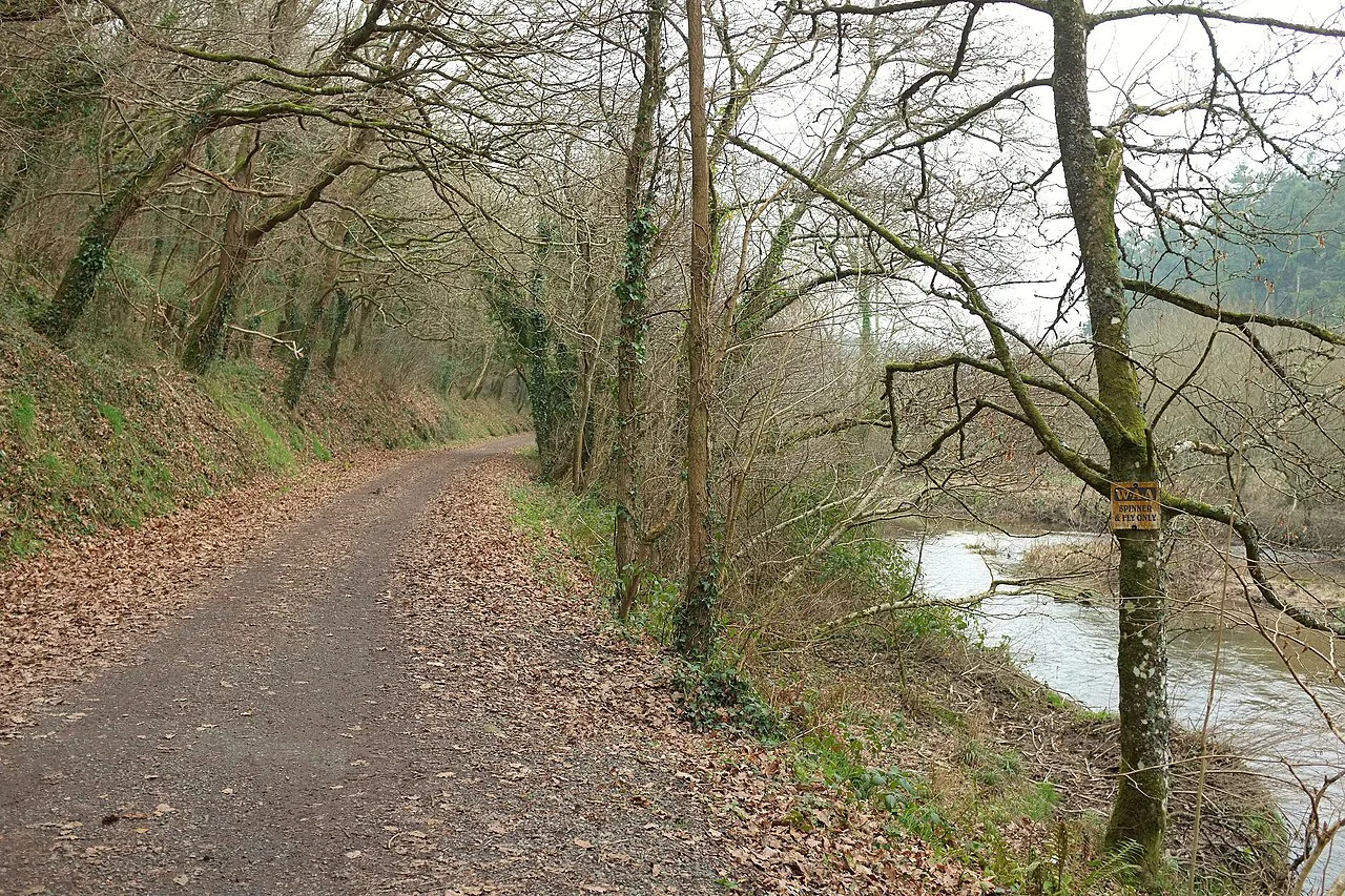 Camel and Camel Trail - geograph.org.uk, Cornwall