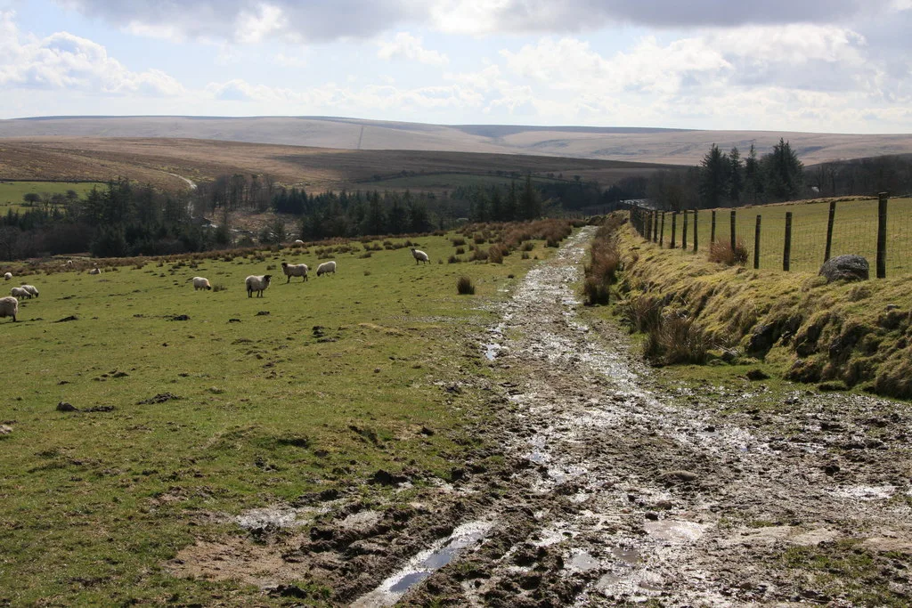 Dartmoor Way - geograph.org.uk