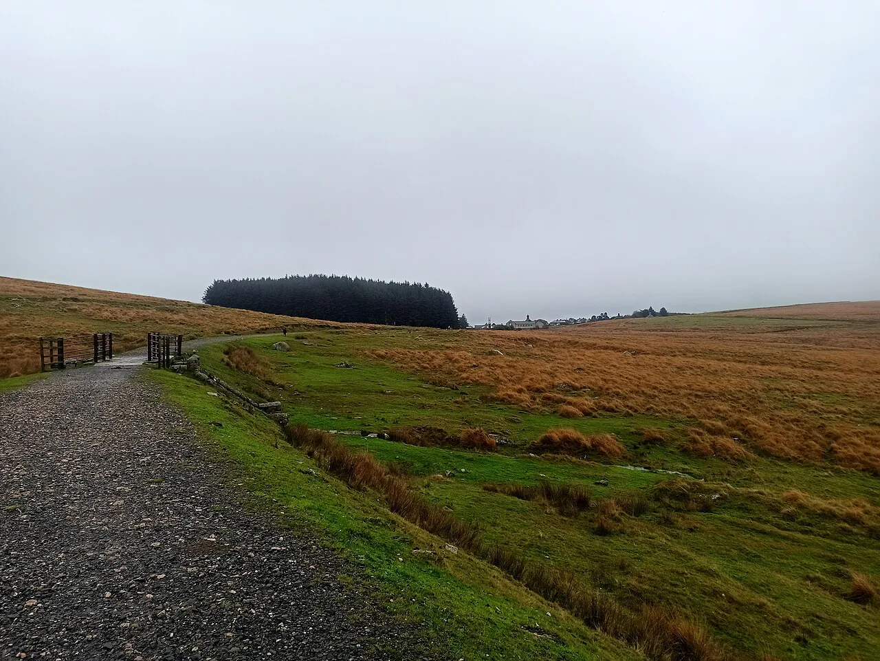 Dartmoor Way to Princetown - geograph.org.uk