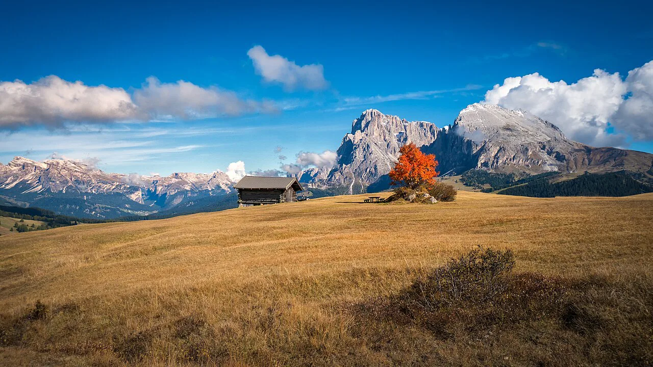 Alpe Di Siusi open meadow area, Dolomites
