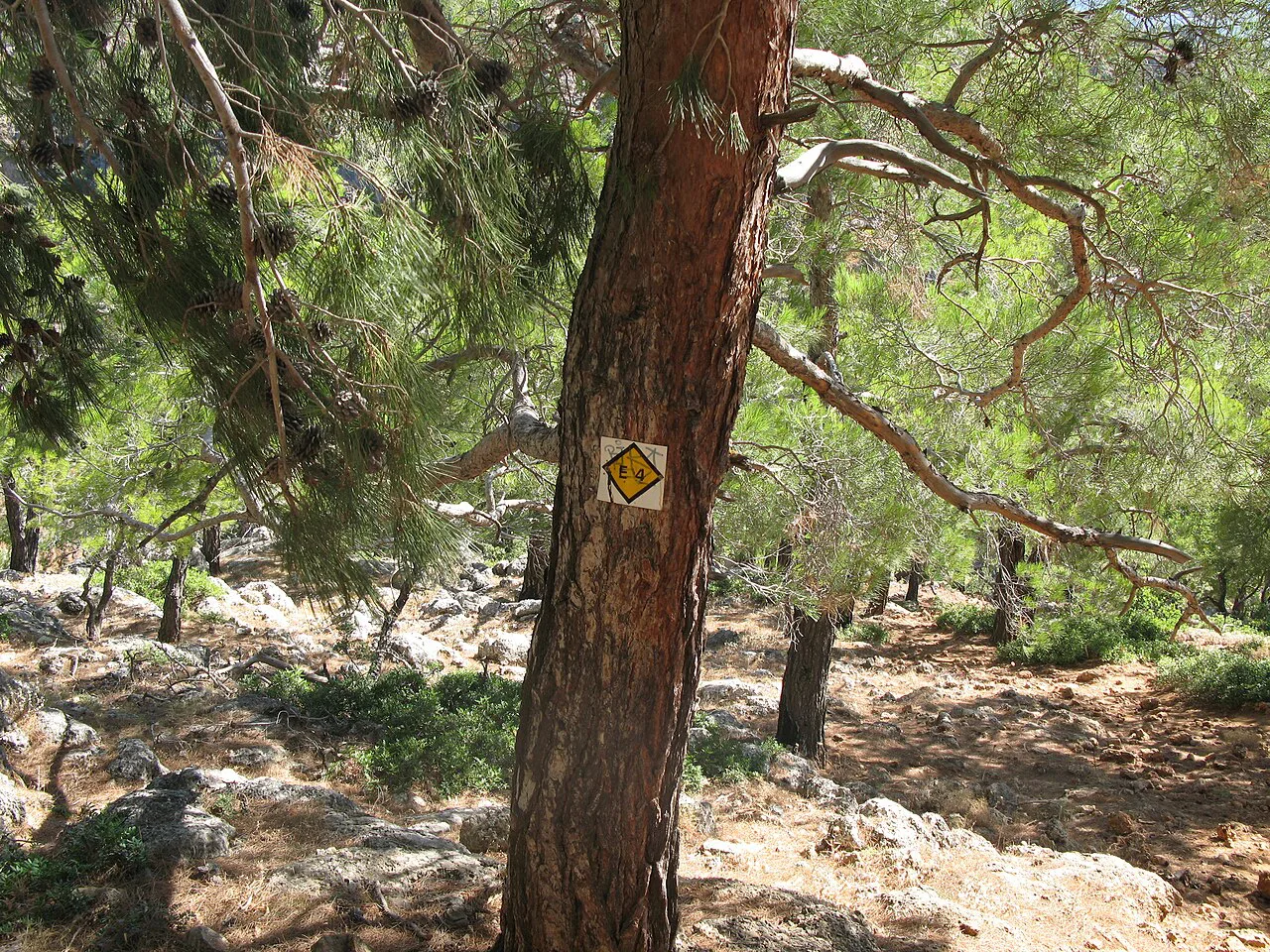 E4 near Sougia, Crete
