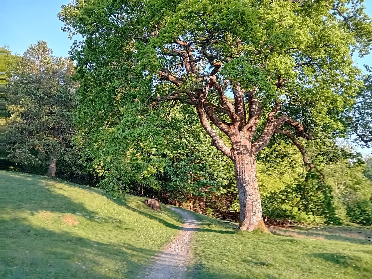 Lake District path on a sunny day