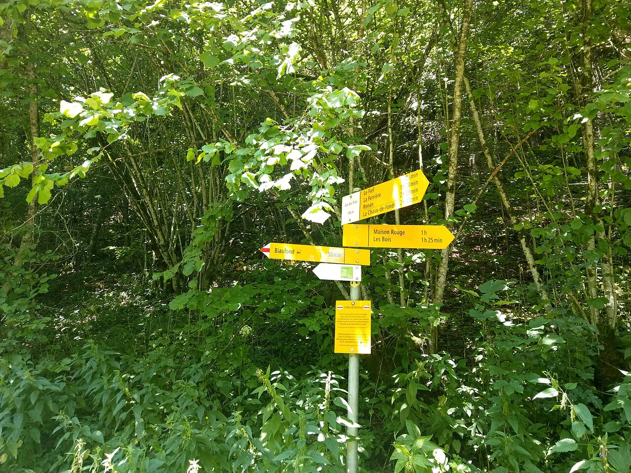Swiss Hiking Network - Guidepost - Col des Prés, Switzerland