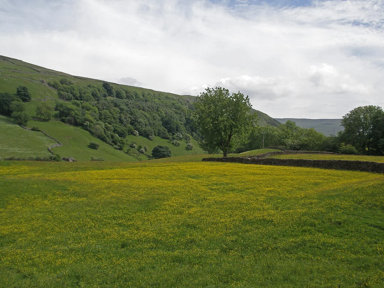 Dales Landscape, Yorkshire Dales