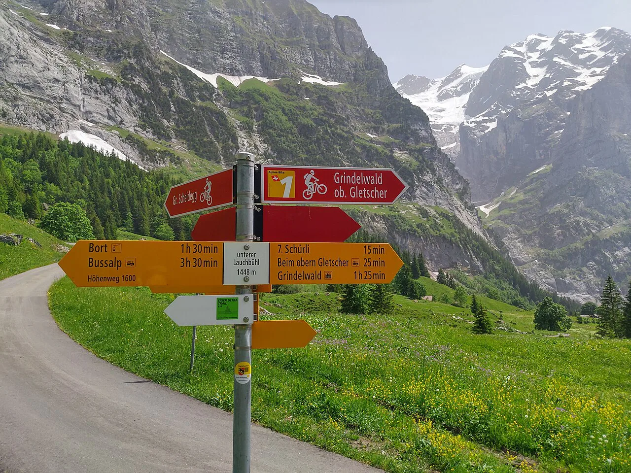 Fingerpost unterer Lauchbühl m) 1, Grindelwald