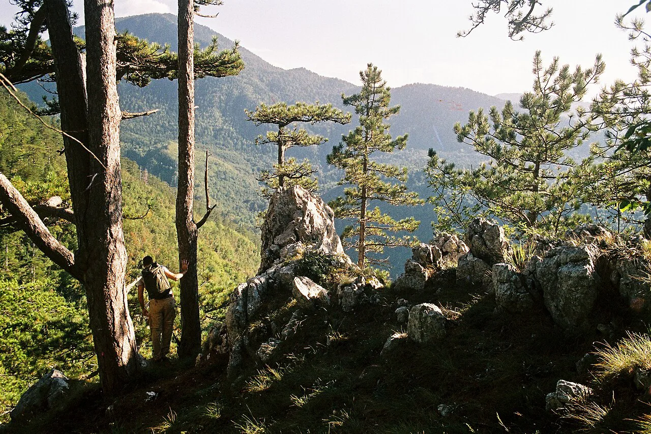 Tara National Park, Europe