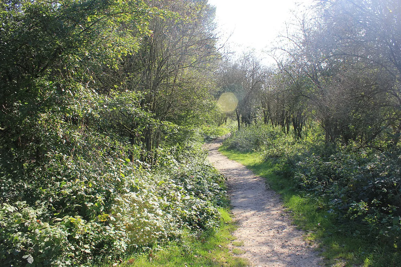 Hiking trail in the Millingerwaard, Europe