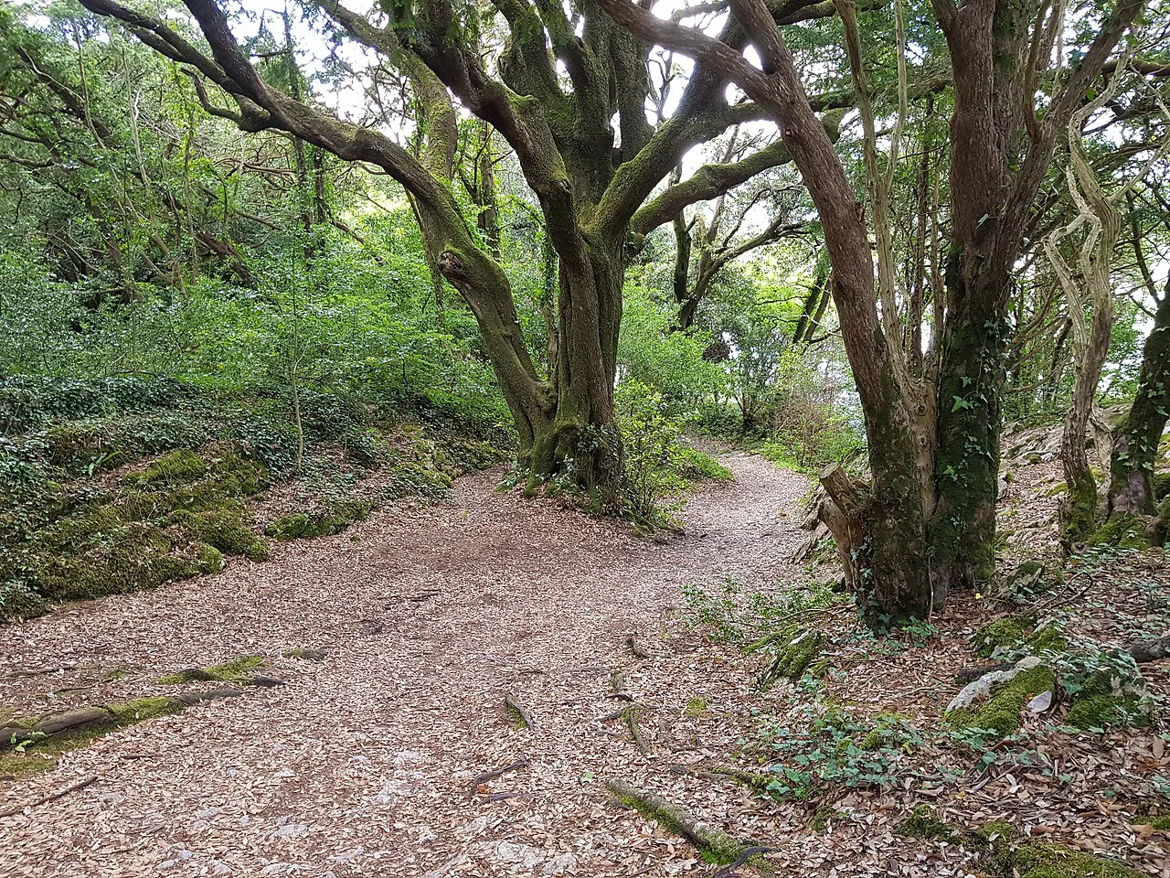 Killarney National Park walk