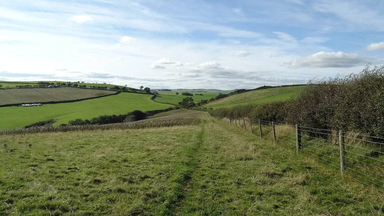 On Glyndwr's Way with view W towards Bailey Hill near Knighton - geograph.org.uk, Wales