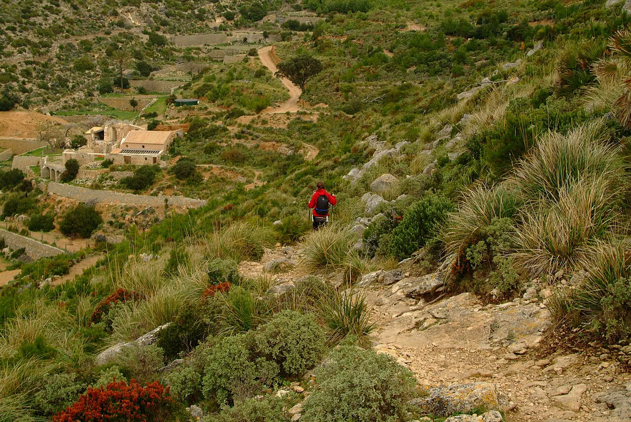 at La Trapa, Mallorca