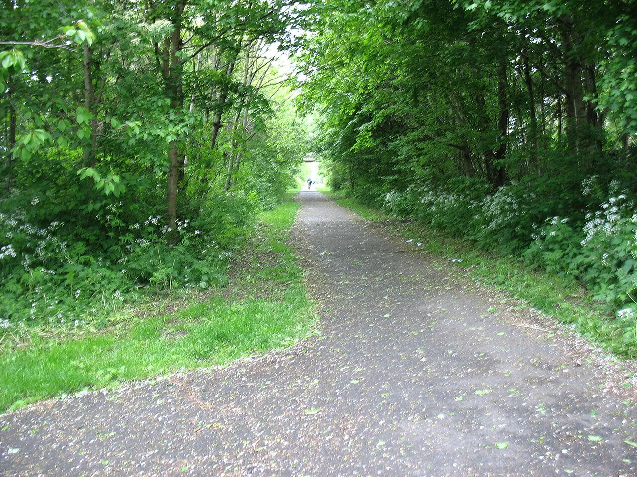 The Hadrian's Wall Path at Lemington - geograph.org.uk, Northumberland