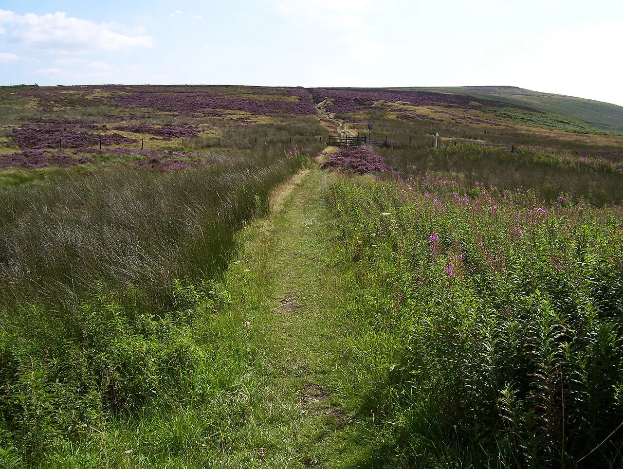Sheffield Country Walk - geograph.org.uk, Peak District