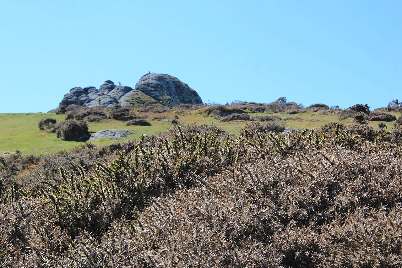 Dartmoor landscape, United Kingdom