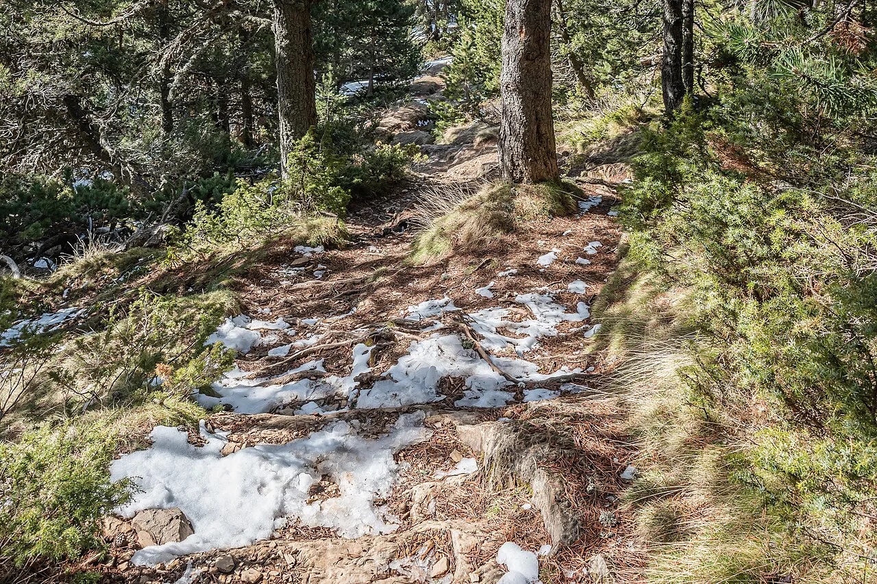 Hiking path near Coll d'Ordino, Europe