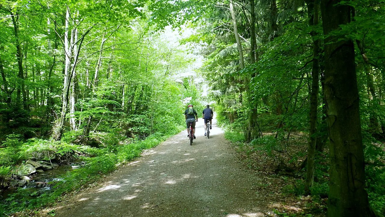 Hiking trail near the "Hohemark", Europe