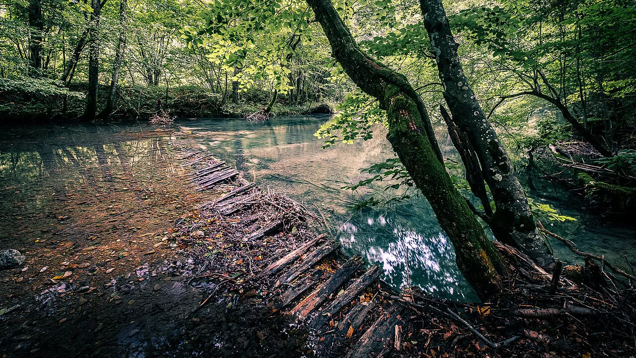 The Wooden Bridge Romania Landscape Photography, Europe