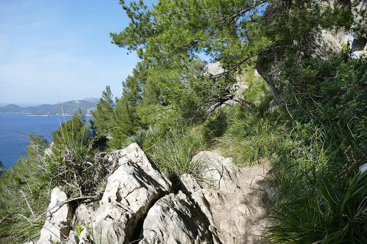 Hiking path on the peninsula La Victòria, Europe