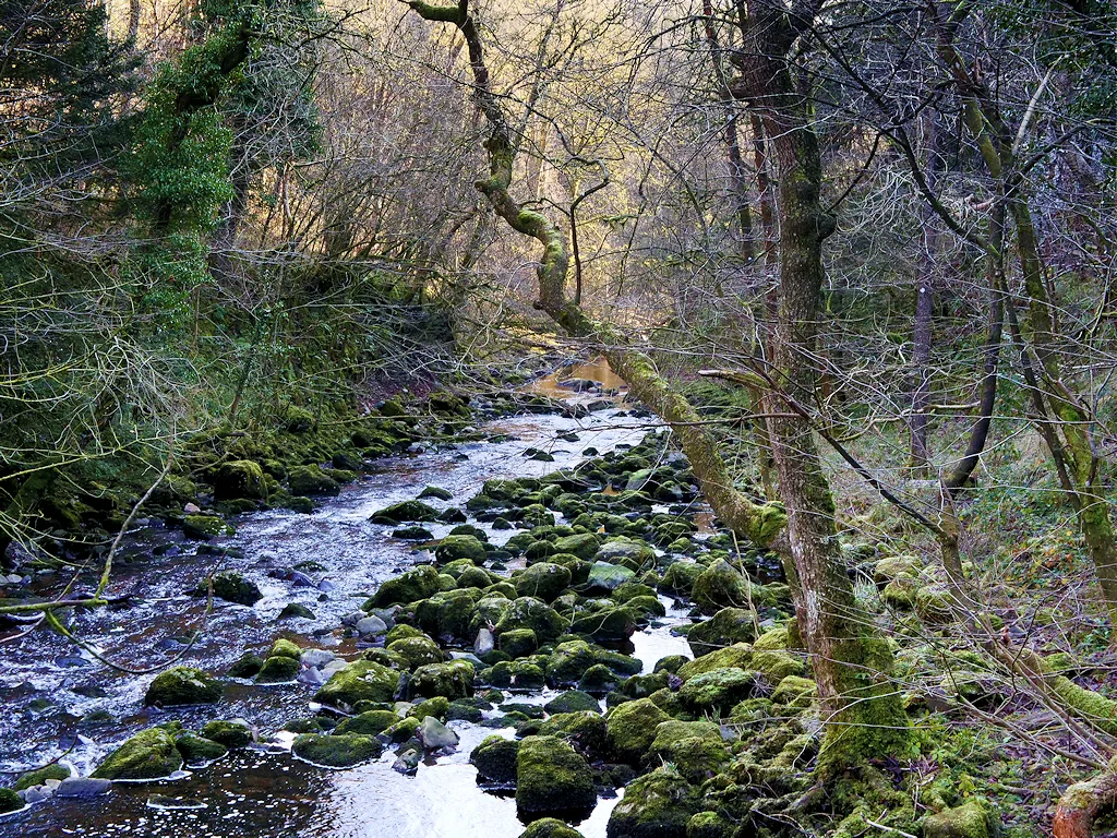 River Twiss, Ingleton Waterfalls Trail - geograph.org.uk, Yorkshire Dales