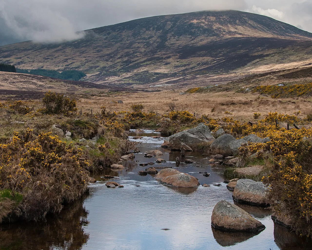 Glendasan River, Wicklow Mountains, Ireland