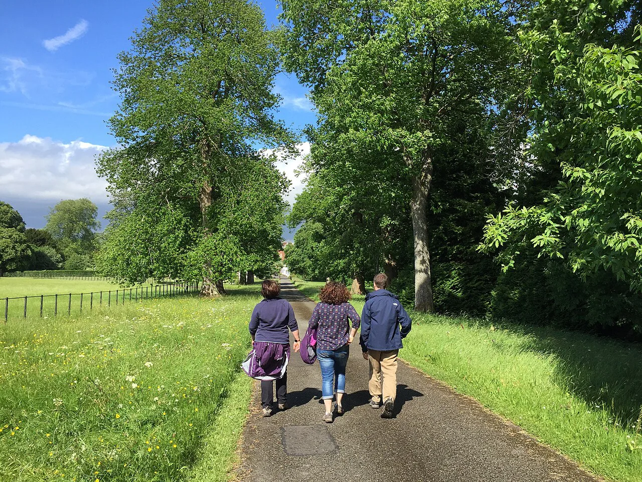 Hiking through the park - geograph.org.uk, Ireland