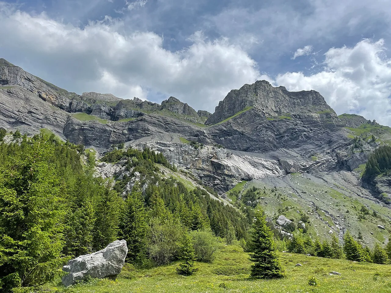 Above Kandersteg, June