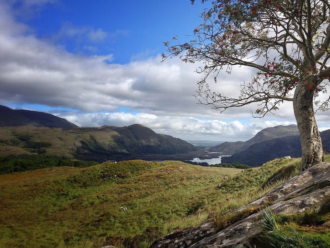 Kerry Way, Ireland, Killarney