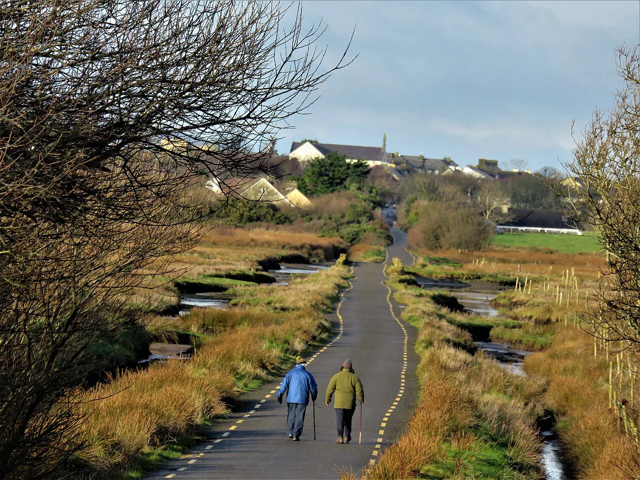 Dingle Way- , Co. Kerry, Ireland, Killarney