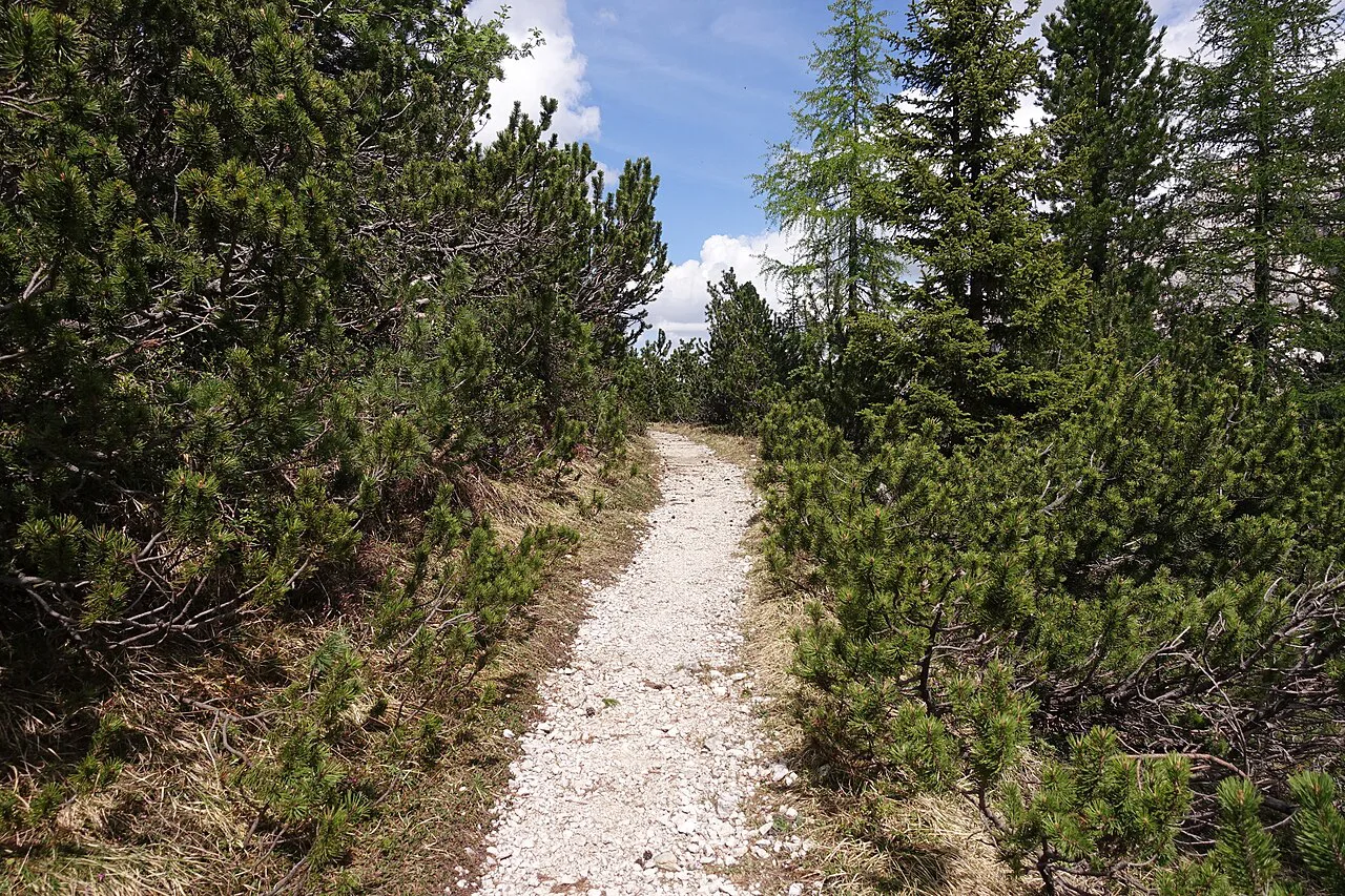 Cortina - trail, Cortina d'Ampezzo