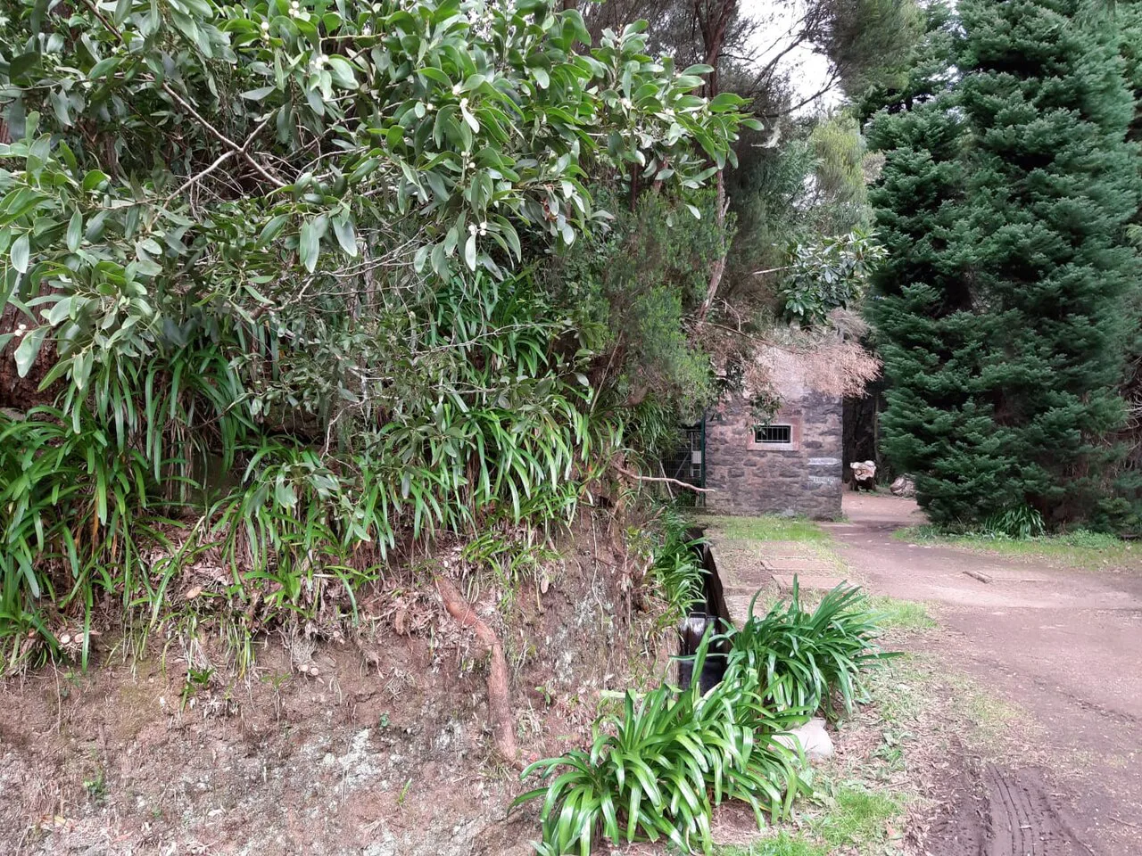 Casinha de Água, Madeira